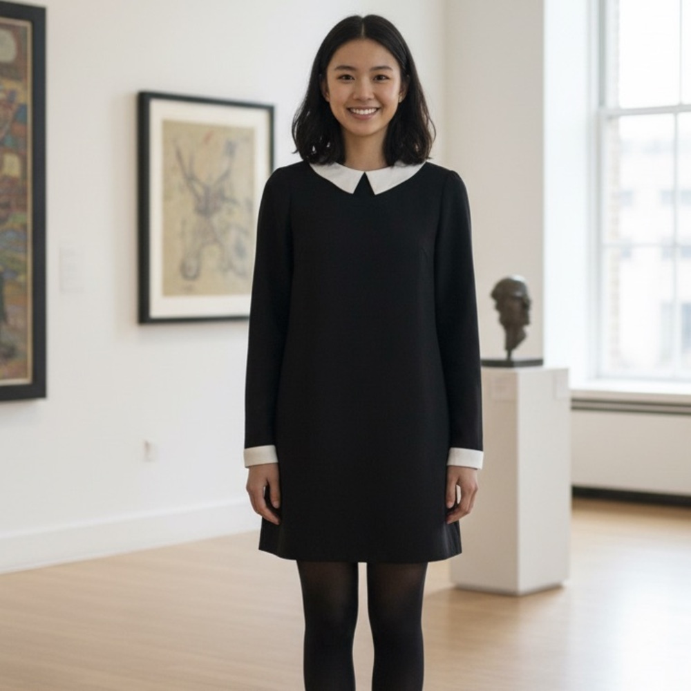 Birds of North America Sz 4 Skimmer Wednesday Adams Black Preppy Dress